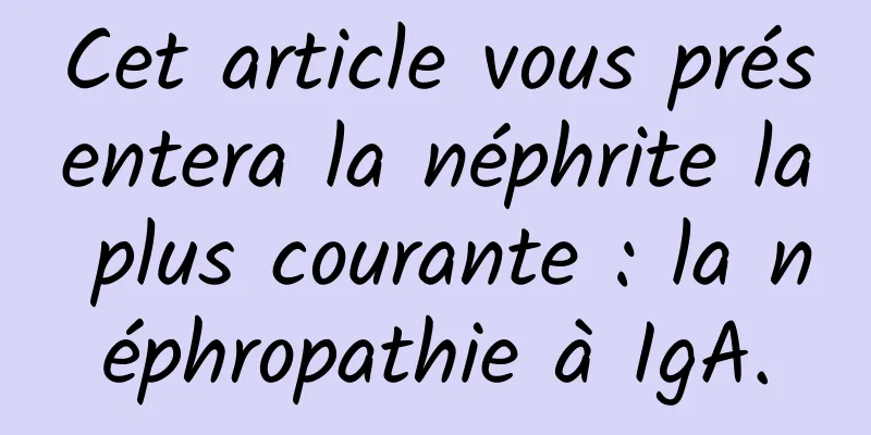 Cet article vous présentera la néphrite la plus courante : la néphropathie à IgA.