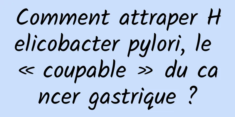 Comment attraper Helicobacter pylori, le « coupable » du cancer gastrique ?