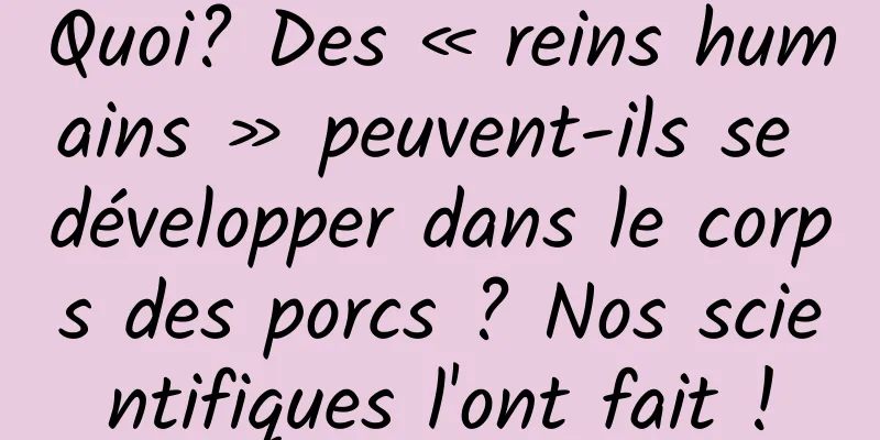 Quoi? Des « reins humains » peuvent-ils se développer dans le corps des porcs ? Nos scientifiques l'ont fait !