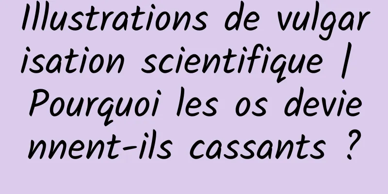 Illustrations de vulgarisation scientifique | Pourquoi les os deviennent-ils cassants ?