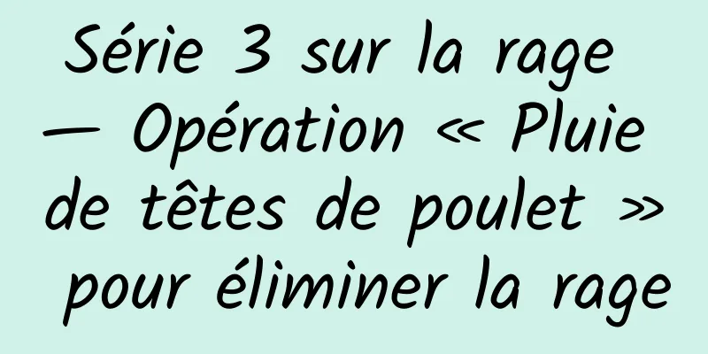 Série 3 sur la rage — Opération « Pluie de têtes de poulet » pour éliminer la rage