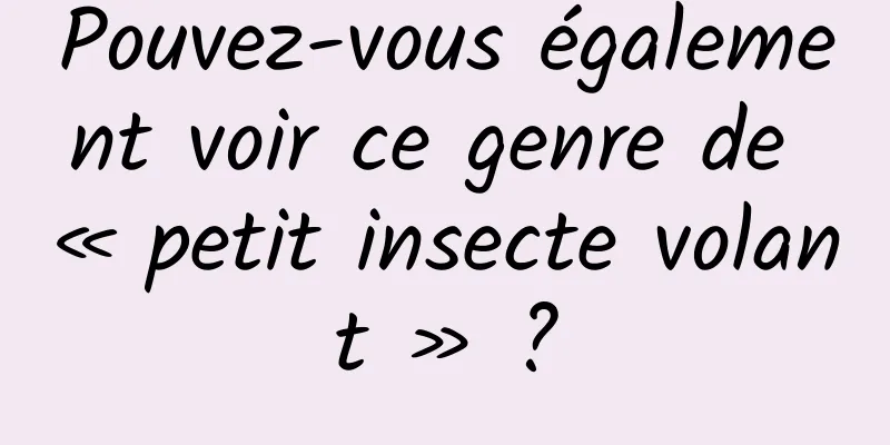 Pouvez-vous également voir ce genre de « petit insecte volant » ?