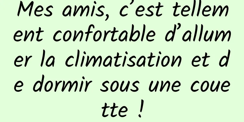 Mes amis, c’est tellement confortable d’allumer la climatisation et de dormir sous une couette !
