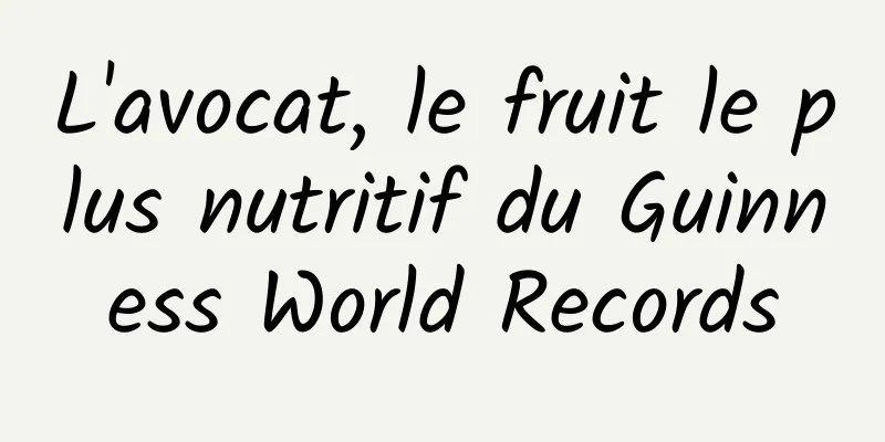L'avocat, le fruit le plus nutritif du Guinness World Records