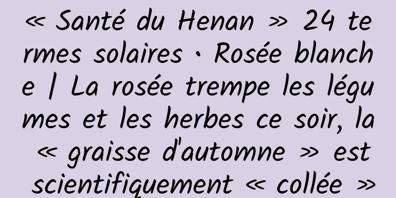 « Santé du Henan » 24 termes solaires • Rosée blanche | La rosée trempe les légumes et les herbes ce soir, la « graisse d'automne » est scientifiquement « collée »