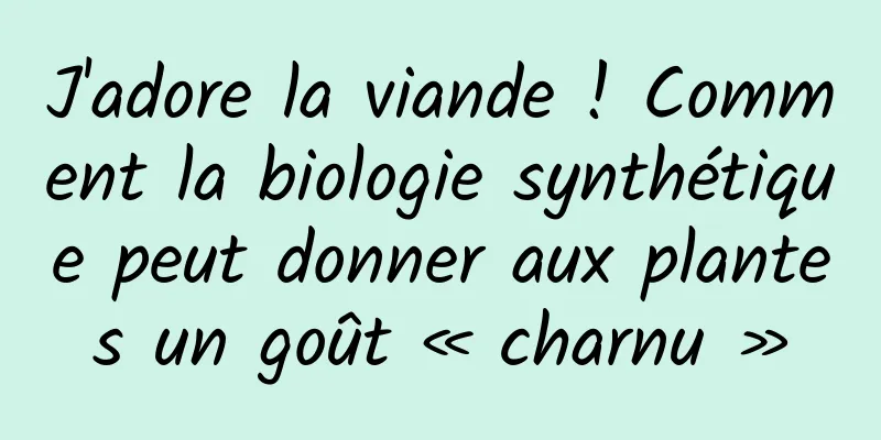 J'adore la viande ! Comment la biologie synthétique peut donner aux plantes un goût « charnu »