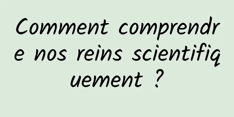 Comment comprendre nos reins scientifiquement ?