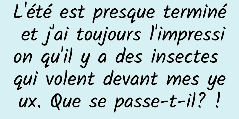 L'été est presque terminé et j'ai toujours l'impression qu'il y a des insectes qui volent devant mes yeux. Que se passe-t-il? !
