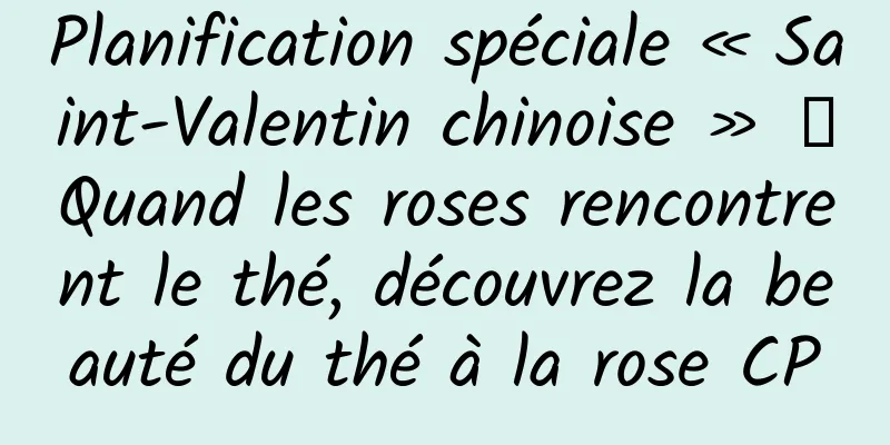 Planification spéciale « Saint-Valentin chinoise » 丨Quand les roses rencontrent le thé, découvrez la beauté du thé à la rose CP