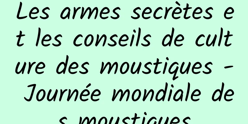 Les armes secrètes et les conseils de culture des moustiques - Journée mondiale des moustiques