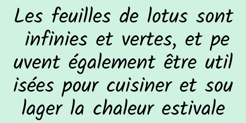Les feuilles de lotus sont infinies et vertes, et peuvent également être utilisées pour cuisiner et soulager la chaleur estivale