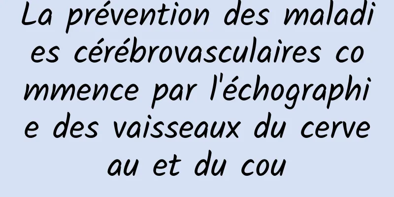La prévention des maladies cérébrovasculaires commence par l'échographie des vaisseaux du cerveau et du cou