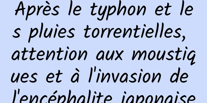 Après le typhon et les pluies torrentielles, attention aux moustiques et à l'invasion de l'encéphalite japonaise