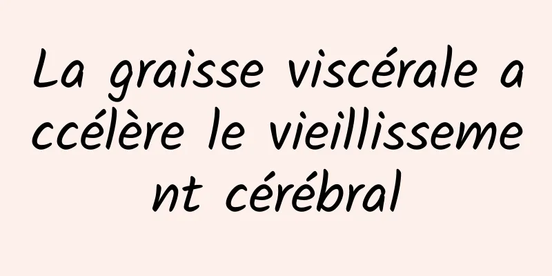 La graisse viscérale accélère le vieillissement cérébral
