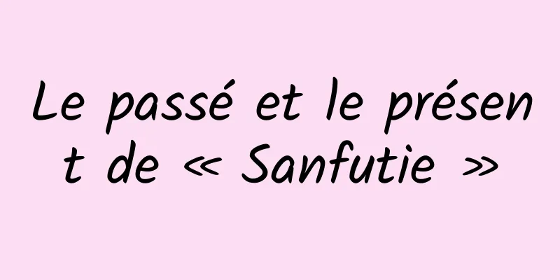 Le passé et le présent de « Sanfutie »