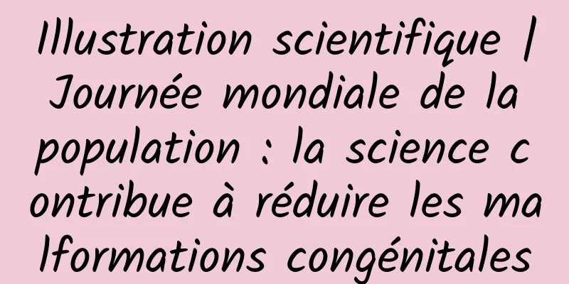Illustration scientifique | Journée mondiale de la population : la science contribue à réduire les malformations congénitales
