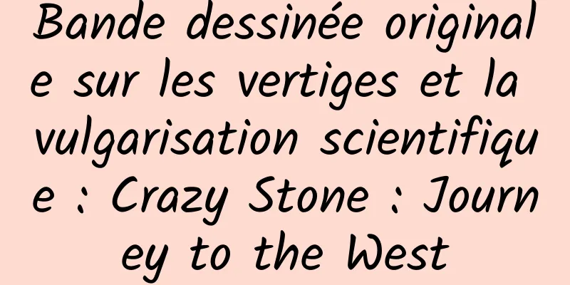 Bande dessinée originale sur les vertiges et la vulgarisation scientifique : Crazy Stone : Journey to the West