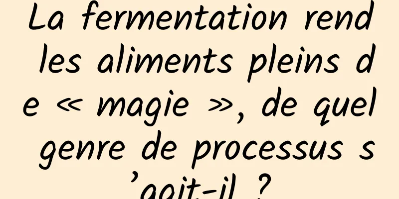 La fermentation rend les aliments pleins de « magie », de quel genre de processus s’agit-il ?