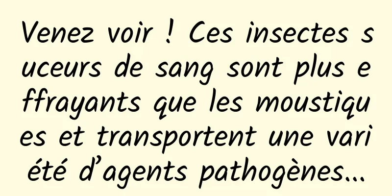 Venez voir ! Ces insectes suceurs de sang sont plus effrayants que les moustiques et transportent une variété d’agents pathogènes...