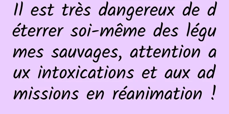 Il est très dangereux de déterrer soi-même des légumes sauvages, attention aux intoxications et aux admissions en réanimation !