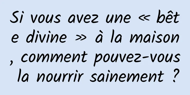 Si vous avez une « bête divine » à la maison, comment pouvez-vous la nourrir sainement ?
