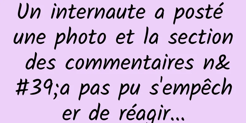 Un internaute a posté une photo et la section des commentaires n'a pas pu s'empêcher de réagir...