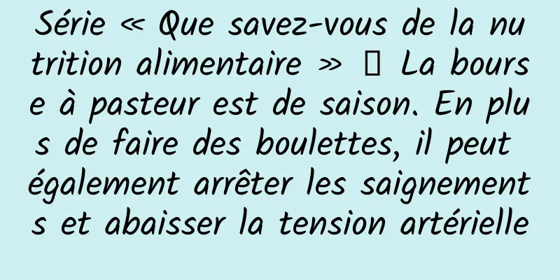 Série « Que savez-vous de la nutrition alimentaire » 丨 La bourse à pasteur est de saison. En plus de faire des boulettes, il peut également arrêter les saignements et abaisser la tension artérielle
