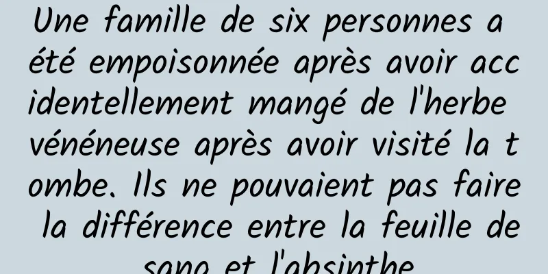 Une famille de six personnes a été empoisonnée après avoir accidentellement mangé de l'herbe vénéneuse après avoir visité la tombe. Ils ne pouvaient pas faire la différence entre la feuille de sang et l'absinthe.