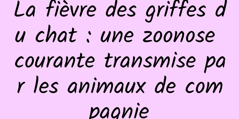 La fièvre des griffes du chat : une zoonose courante transmise par les animaux de compagnie
