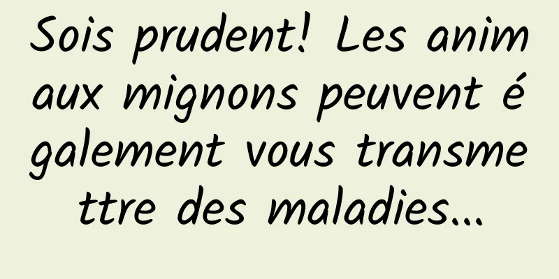 Sois prudent! Les animaux mignons peuvent également vous transmettre des maladies...