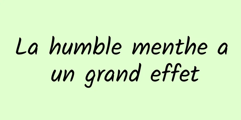 La humble menthe a un grand effet