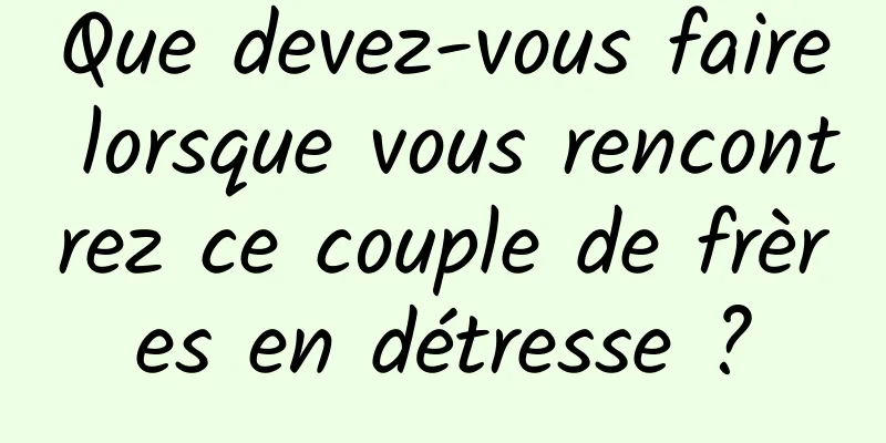 Que devez-vous faire lorsque vous rencontrez ce couple de frères en détresse ?