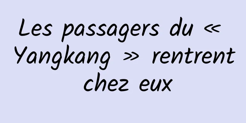 Les passagers du « Yangkang » rentrent chez eux