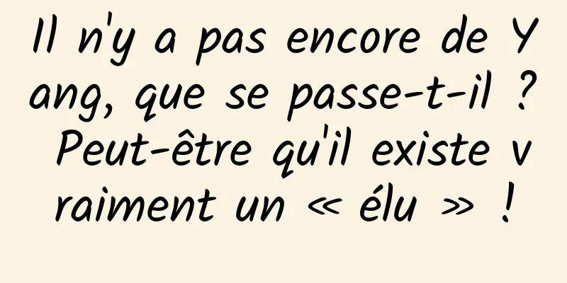 Il n'y a pas encore de Yang, que se passe-t-il ? Peut-être qu'il existe vraiment un « élu » !