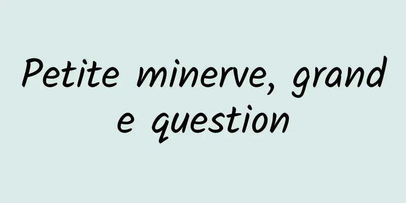 Petite minerve, grande question