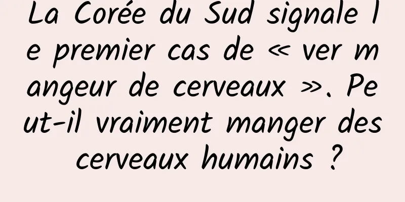 La Corée du Sud signale le premier cas de « ver mangeur de cerveaux ». Peut-il vraiment manger des cerveaux humains ?