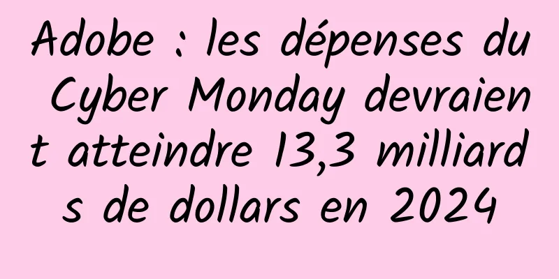Adobe : les dépenses du Cyber ​​​​Monday devraient atteindre 13,3 milliards de dollars en 2024
