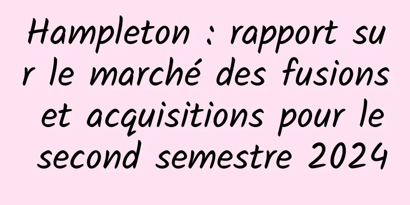 Hampleton : rapport sur le marché des fusions et acquisitions pour le second semestre 2024