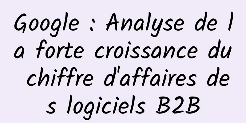 Google : Analyse de la forte croissance du chiffre d'affaires des logiciels B2B