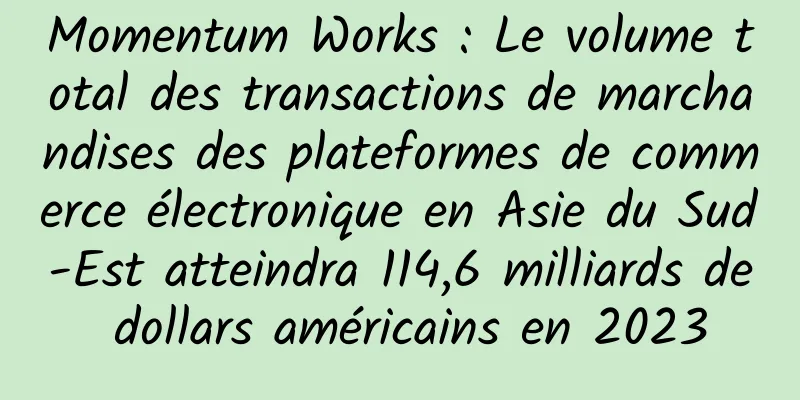 Momentum Works : Le volume total des transactions de marchandises des plateformes de commerce électronique en Asie du Sud-Est atteindra 114,6 milliards de dollars américains en 2023