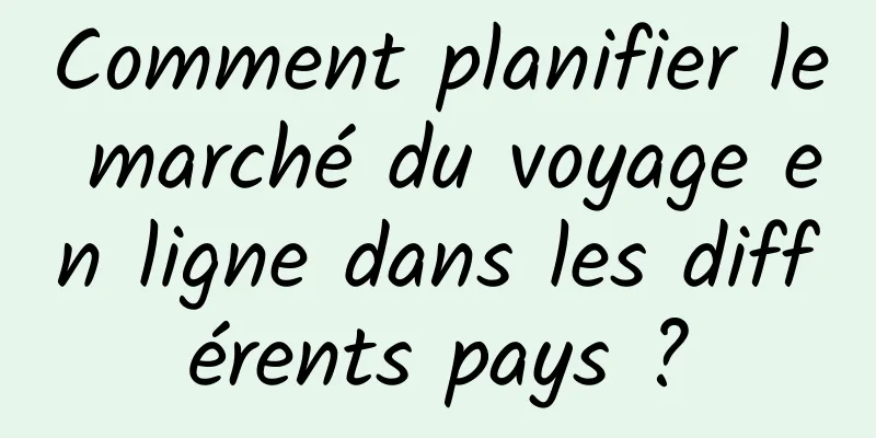 Comment planifier le marché du voyage en ligne dans les différents pays ?
