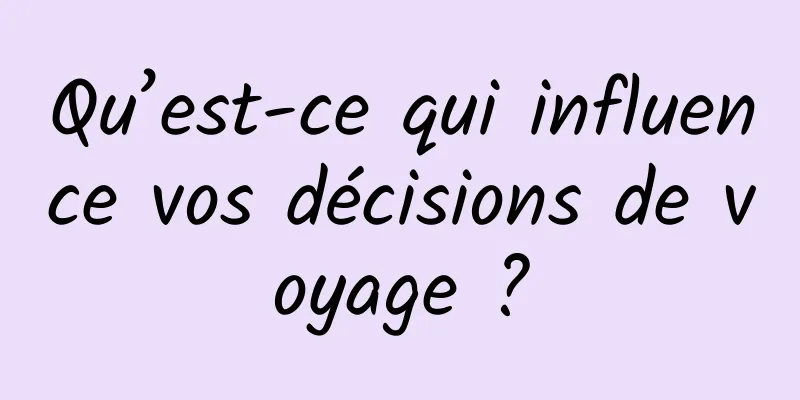 Qu’est-ce qui influence vos décisions de voyage ?