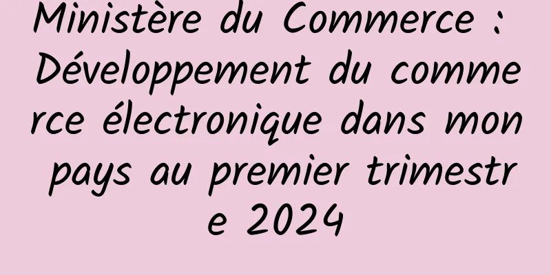 Ministère du Commerce : Développement du commerce électronique dans mon pays au premier trimestre 2024
