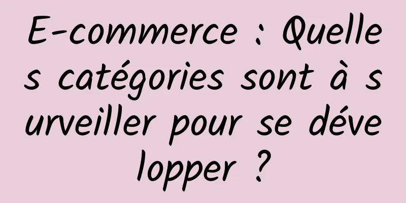 E-commerce : Quelles catégories sont à surveiller pour se développer ?