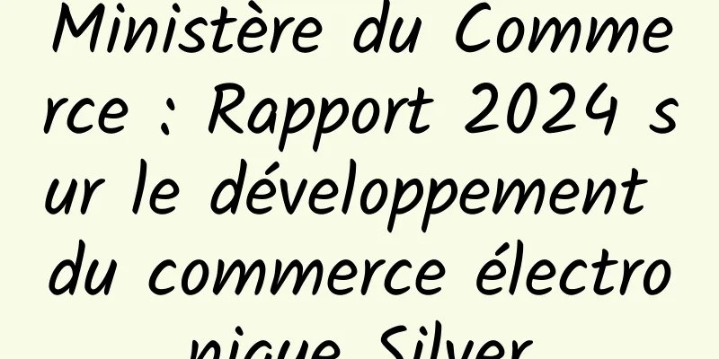 Ministère du Commerce : Rapport 2024 sur le développement du commerce électronique Silver