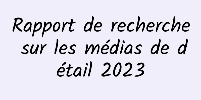 Rapport de recherche sur les médias de détail 2023