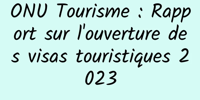 ONU Tourisme : Rapport sur l'ouverture des visas touristiques 2023
