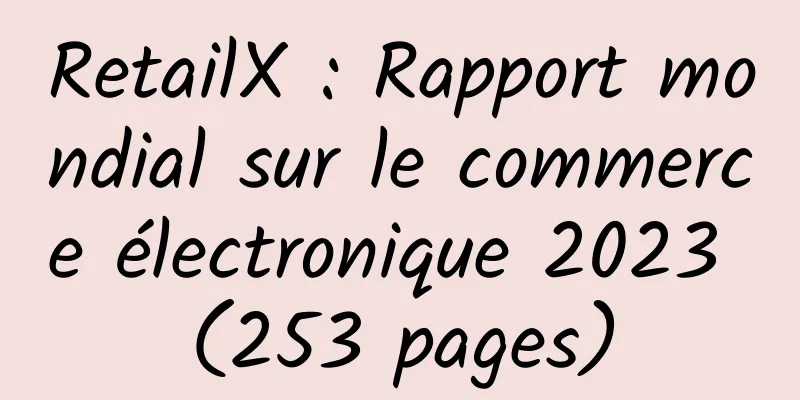 RetailX : Rapport mondial sur le commerce électronique 2023 (253 pages)