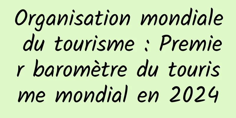 Organisation mondiale du tourisme : Premier baromètre du tourisme mondial en 2024