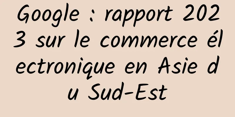 Google : rapport 2023 sur le commerce électronique en Asie du Sud-Est